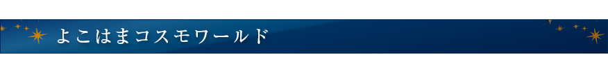 よこはまコスモワールド