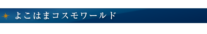よこはまコスモワールド